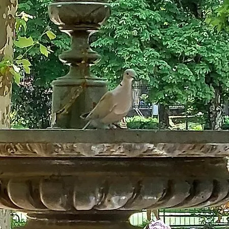 Alojamento de Acomodação e Pequeno-almoço Pavillon Kalensa